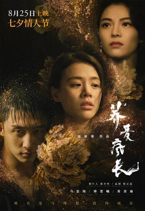 买假梅西赫斯特大学毕业证